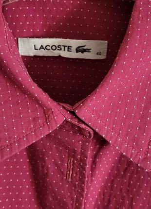 Сорочка lacoste2 фото