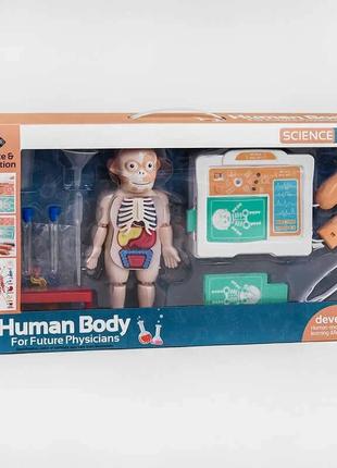 Игровой набор доктора h 326 a, человеческое тело, 20 элем., экран со светом и звуком, лабораторные инструменты