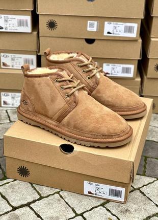 Уги ugg neumel chestnut suede угги натуральна овчина