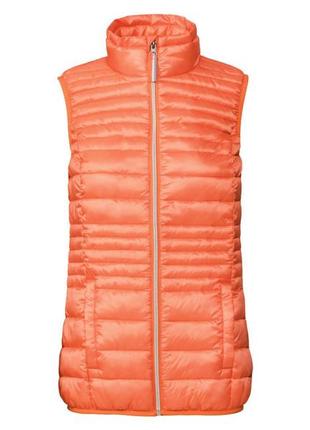 Теплый жилет водоотталкивающий и ветрозащитный для женщины esmara bionic-finish® eco 329968 36(s) оранжевый