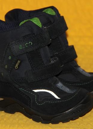 Ботинки, черевики, чоботи ecco gore-tex р.24 стелька 15 см