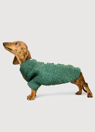 Зелений светр для собаки (шерсть)1 фото