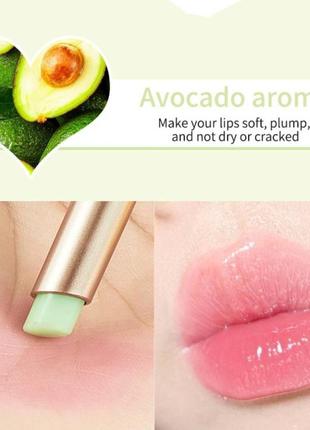 Набір помад для губ (транспарентний бальзам для губ і закріплюючий блиск) авокадо2 фото