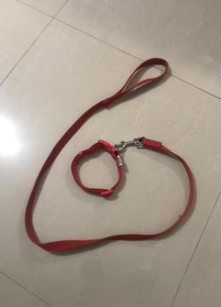 Водка ancell + поводок поводок