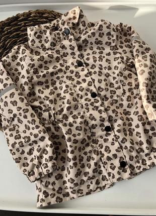 Куртка курточка демисезонная на флисе h&amp;m 2-3 года 98 см ветровка