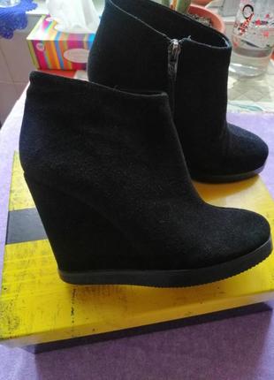 Батильони демiсезоннi