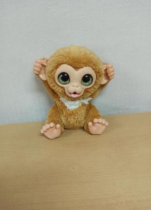 Інтерактивна іграшка furreal friends мавпочка занді у доктора4 фото