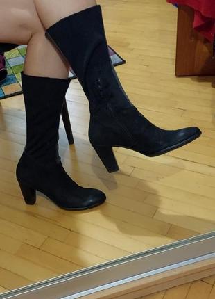 Чоботи панчохи paul green