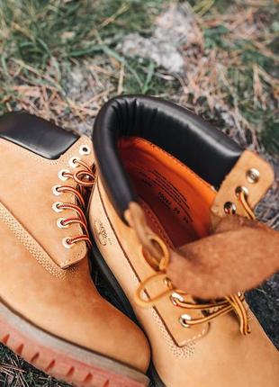 Жіночі термо ботінки timberland ginger - розпродаж.2 фото