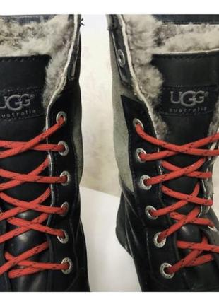 Сапоги бренда ugg
