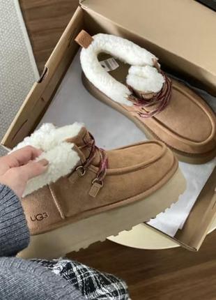 Ботинки ugg ботинки зимние1 фото