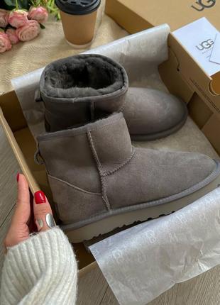 Ugg mini women 020 жіночі уги колір сірий натуральна замша натуральне хутро овчина зима зимові сапожки замшевые угги угі уггі цвет серый