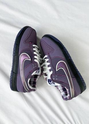 Concepts x nike sb dunk low pro qs 'purple lobster'