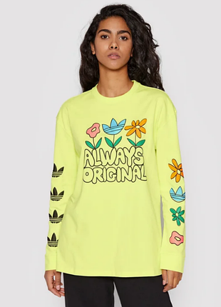 Лонгслів always original graphic (plus size)  1х   hc5431
