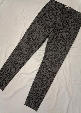 ,jeggincs - женские стрейч.