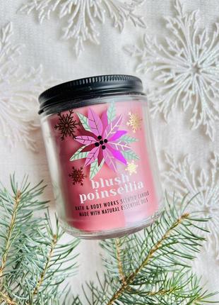 Свічка на 1 гніт blush poinsettia від bath&amp;body works