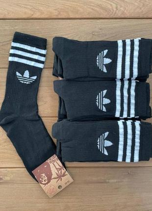 Носки celebs in adidas yung 1 black women white