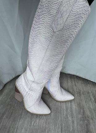Сапоги в стиле fendi, р.37