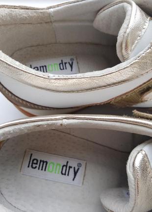 Кожаные сникерсы на танкетке lemondry.