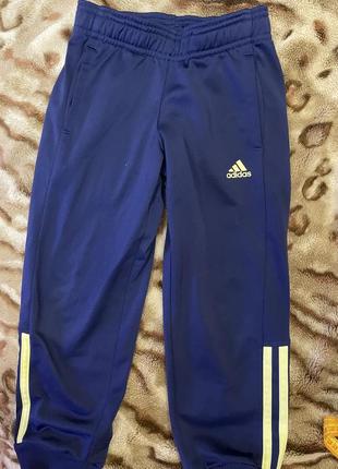 Костюм спортивный adidas3 фото