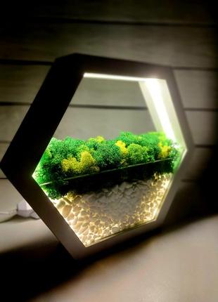 Кашпо- світильник зі стабілізованим мохом1 фото