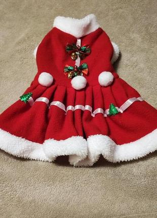 Різдвяне плаття для маленьких собак5 фото