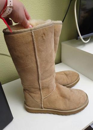 Стильні високі уггі ugg оригінал