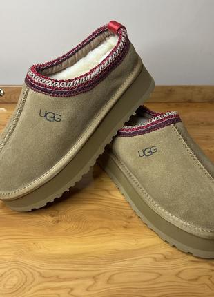 Обувь ugg tazz