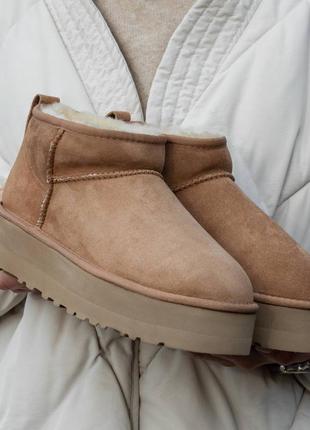 Замшиные угги ugg mini platform2 фото