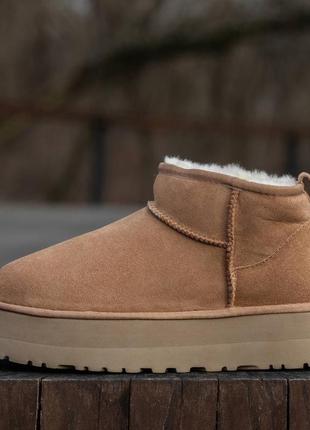 Замшиные угги ugg mini platform4 фото