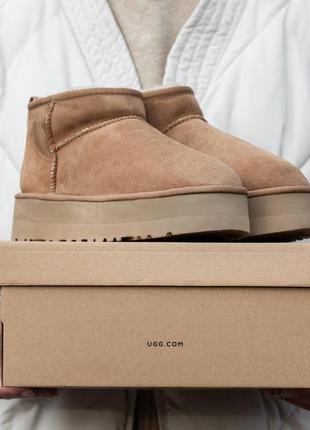 Замшиные угги ugg mini platform1 фото