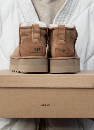 Замшиві уггі ugg mini platform7 фото