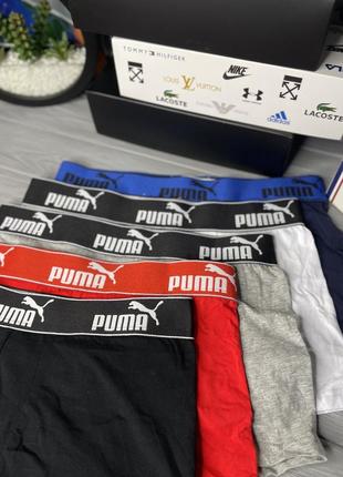 Мужской набор puma2 фото