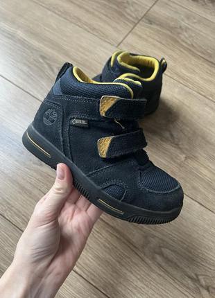 Черевики timberland