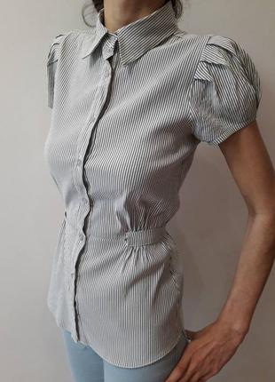 Блуза, сорочка в смужку від dorothy perkins (s/8)3 фото