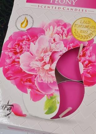 Свічки ароматичні чайні таблетки bispol піон 6 шт/ 4 години, свічки набір