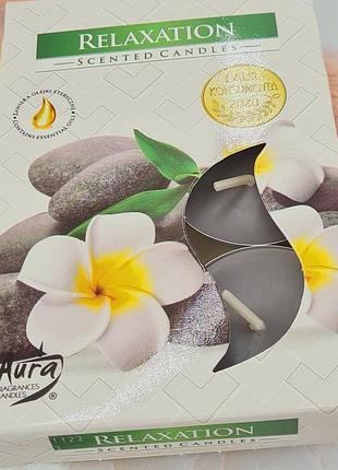 Свічки ароматичні чайні таблетки bispol релаксація 6 шт/ 4 години, свічки набір