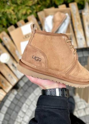 Угги ugg neumel chestnut suede5 фото