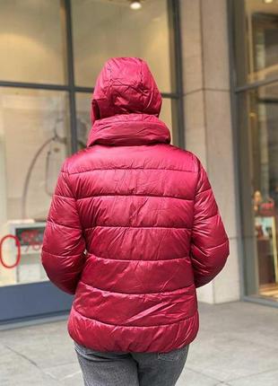 Женская демисезонная куртка monte cervino (р.m,2xl,3xl,5xl) в красном цвете5 фото
