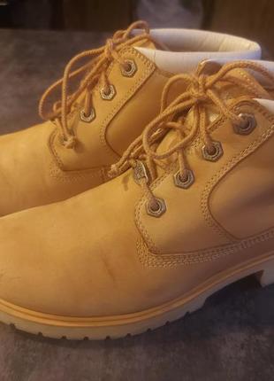 Жіночі ботинки timberland