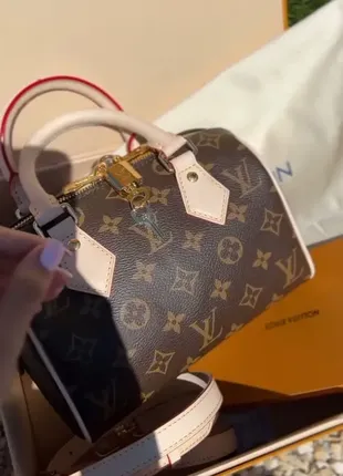 Сумочка louis vuitton