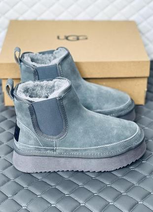 Замшеві сірі уги на платформі челсі жіночі ugg челсі замш зима сірі