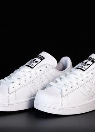 Жіночі кросівки adidas superstar prada. white black