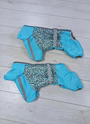 Зимние комбезы для собак
