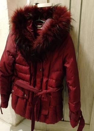 Женская куртка зима бордо