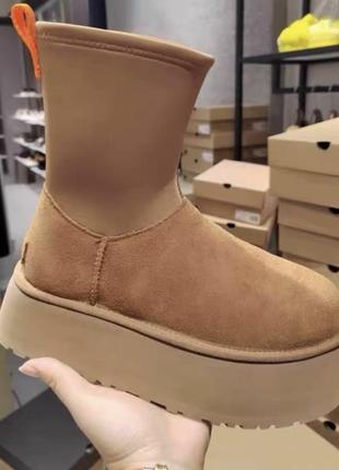 Уггі нова модель 2023 тепле зимове взуття