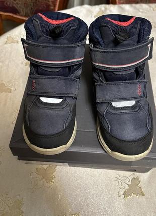 Черевики зимові ecco goretex 33р.