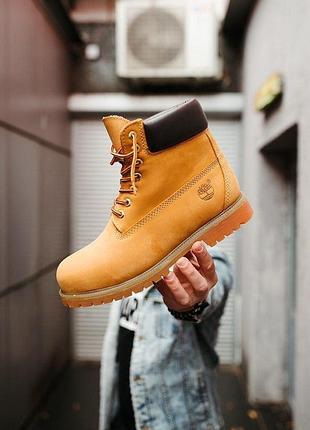 Жіночі черевики timberland ginger 1