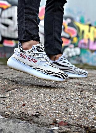 Adidas yeezy boost 350 v2 zebra — купити в Україні | SHAFA | #35372481
