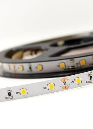 Світлодіодна led стрічка prolum™ 12v; 2835120; ip20; series "s", нейтральний-білий (3800-4300k)
